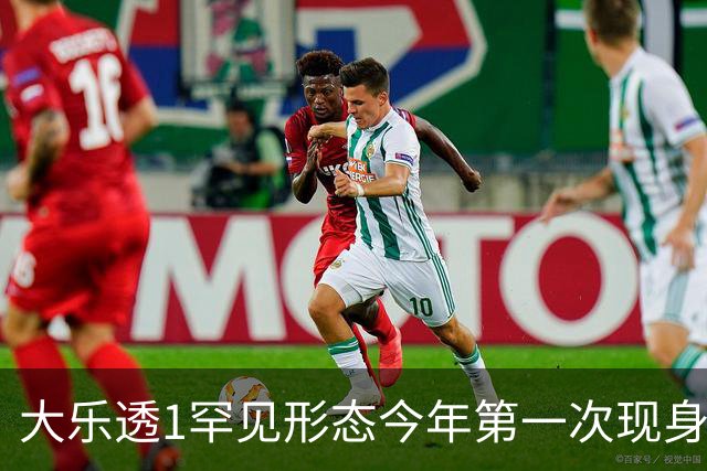 大乐透1罕见形态今年第一次现身 后区这么选？